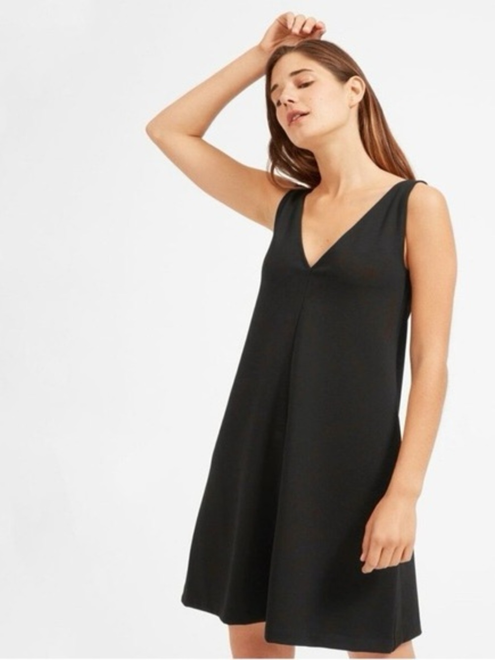 Everlane Black Sleeveless V-Neck Dress